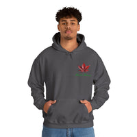 Thumbnail for Maple Maniac Hoodie - Maple Ridge Nursery
