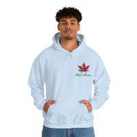 Thumbnail for Maple Maniac Hoodie - Maple Ridge Nursery