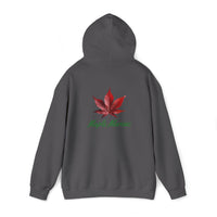 Thumbnail for Maple Maniac Hoodie - Maple Ridge Nursery