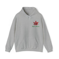 Thumbnail for Maple Maniac Hoodie - Maple Ridge Nursery