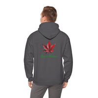 Thumbnail for Maple Maniac Hoodie - Maple Ridge Nursery