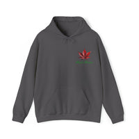 Thumbnail for Maple Maniac Hoodie - Maple Ridge Nursery