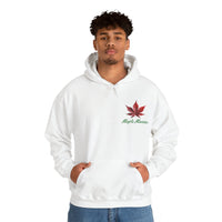 Thumbnail for Maple Maniac Hoodie - Maple Ridge Nursery