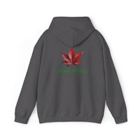 Thumbnail for Maple Maniac Hoodie - Maple Ridge Nursery