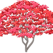 Maple Ridge Nursery logo