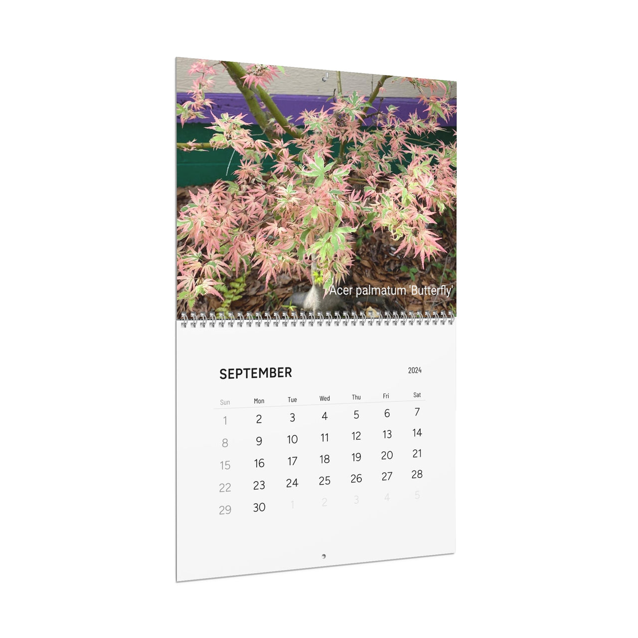 Japanese Maple Wall Calendar - Maple Ridge Nursery