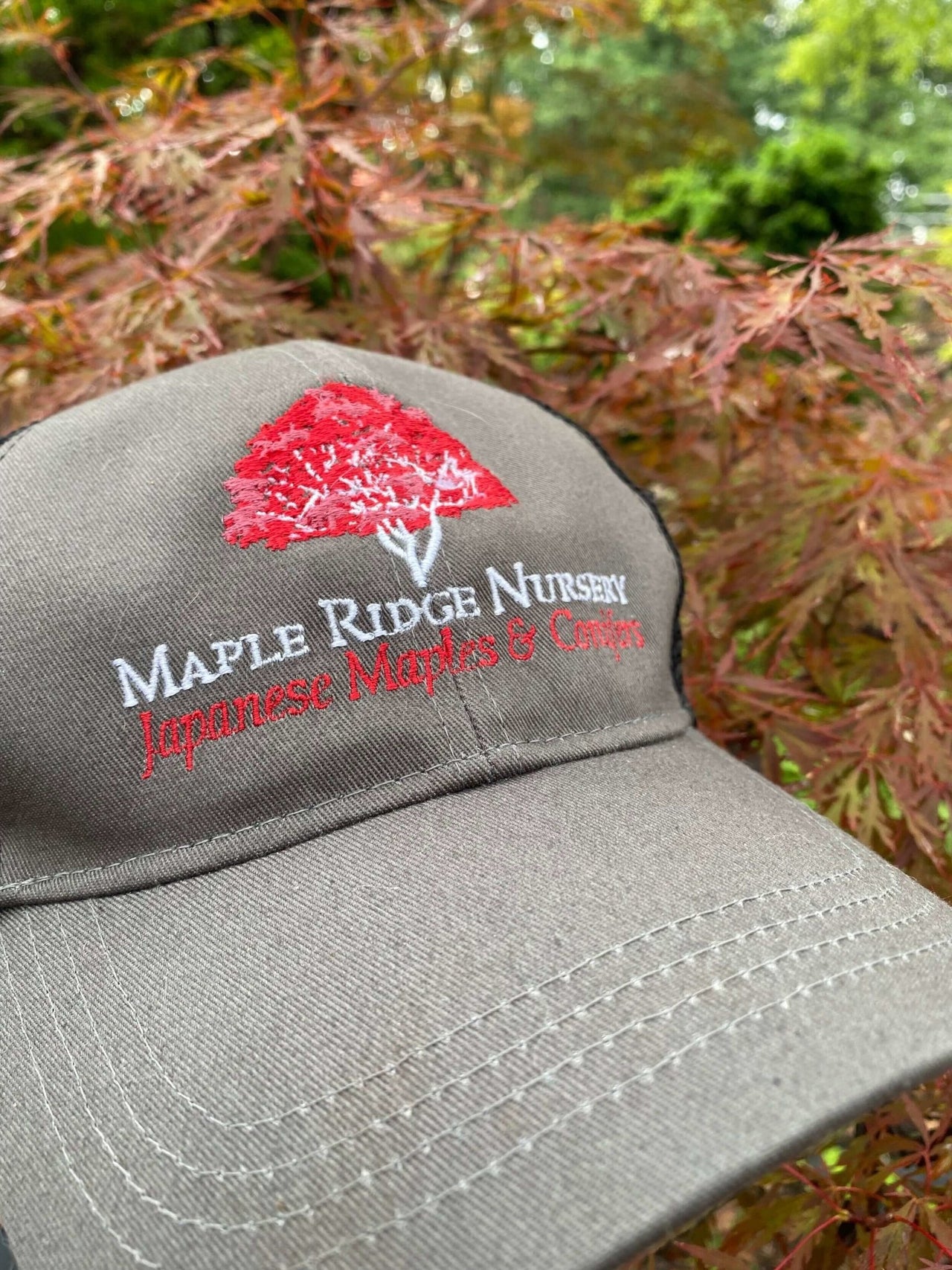 Maple Ridge Nursery Hat - mapleridgenursery