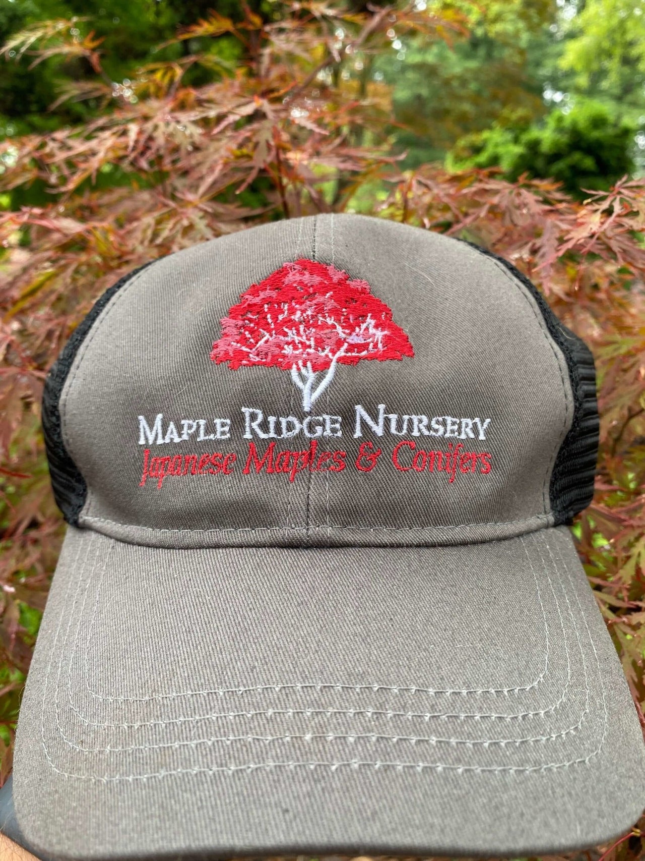 Maple Ridge Nursery Hat - mapleridgenursery