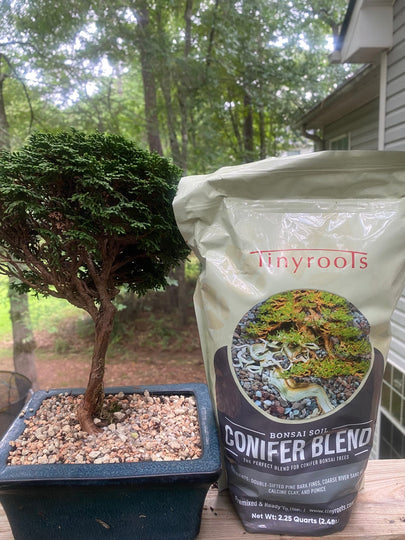 compost for bonsai trees Tinyroots Bonsai Soil Conifer Blend